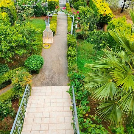 House With Wonderful View Appartement Lefkandi Chalkidas Buitenkant foto
