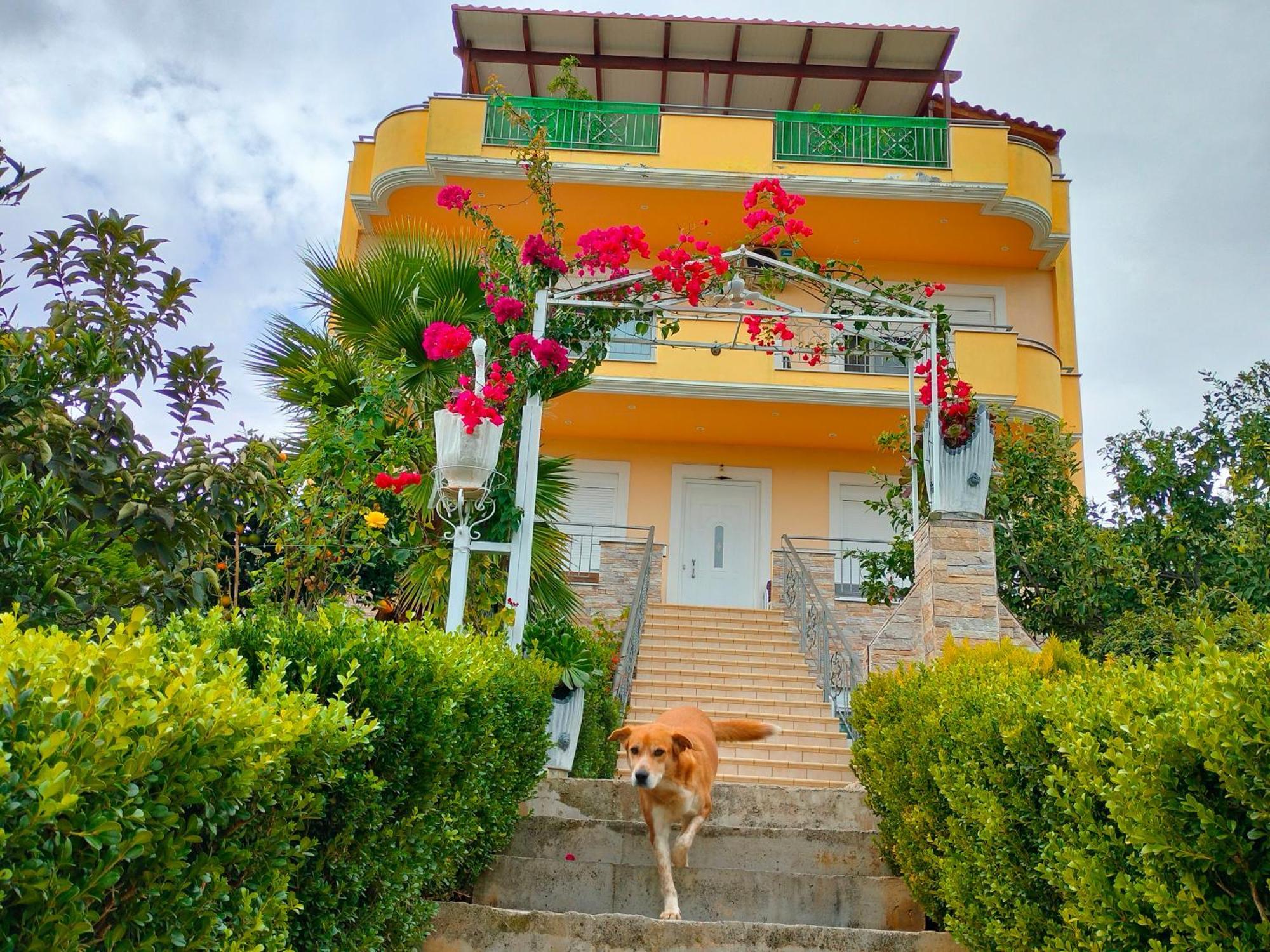House With Wonderful View Appartement Lefkandi Chalkidas Buitenkant foto